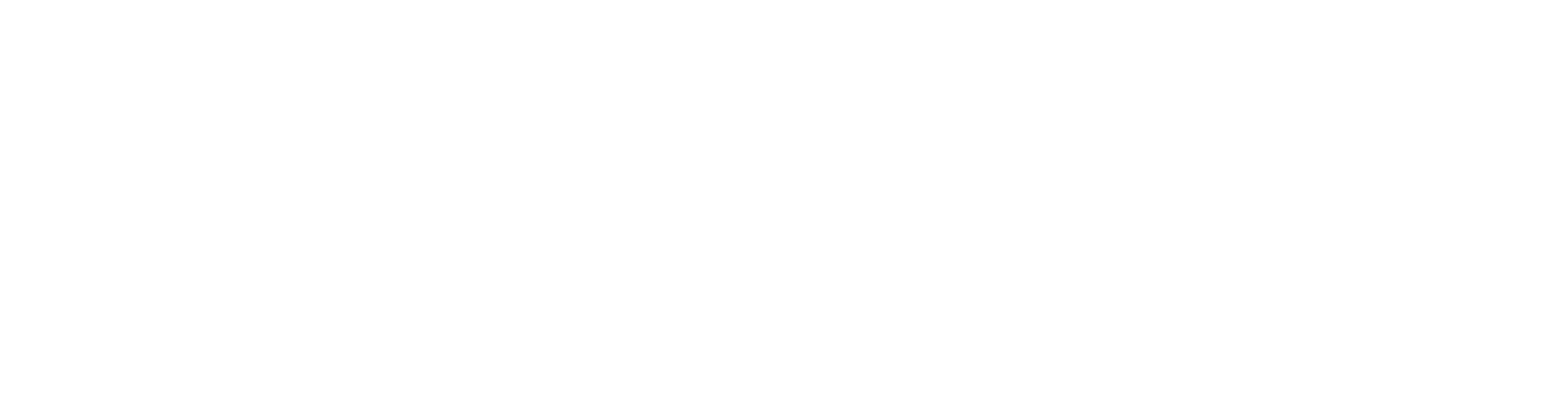 Saf-T-Swim Swim School logo