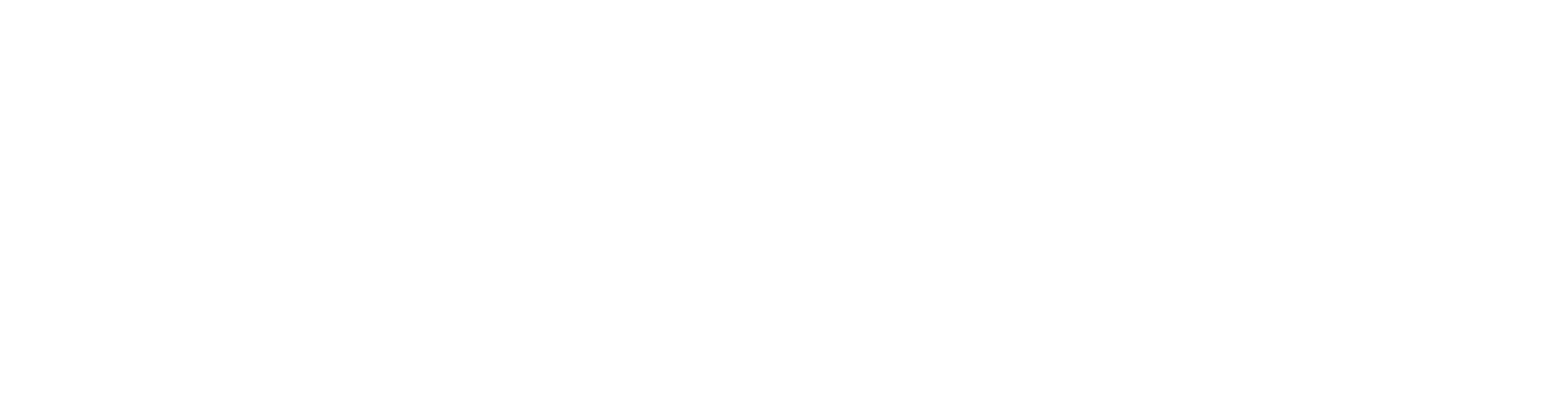 Saf-T-Swim Swim School logo