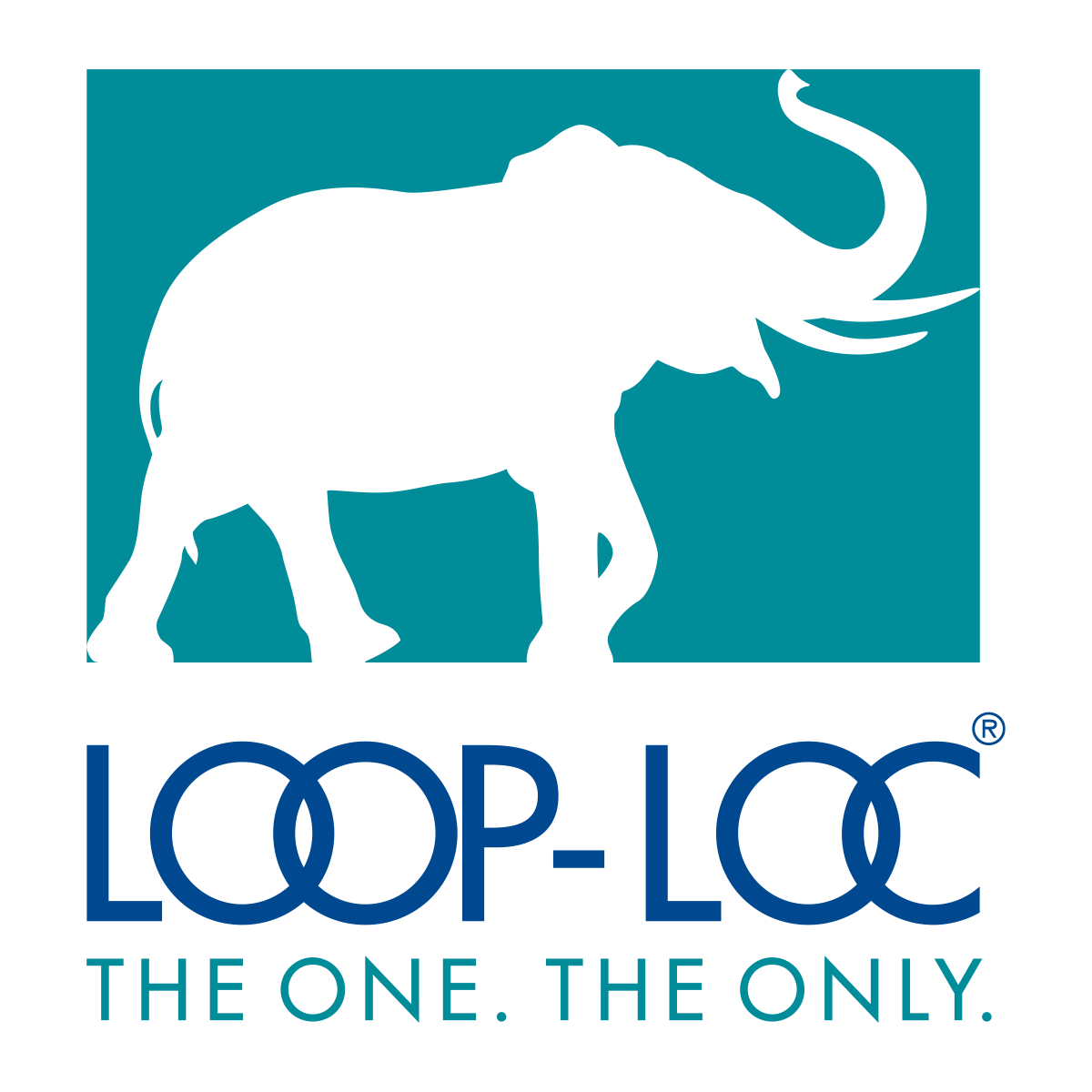 loop-loc-vertical-colored (1)